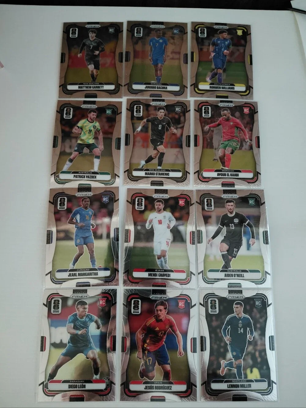 Panini official soccer